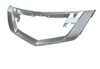 Grille Molding